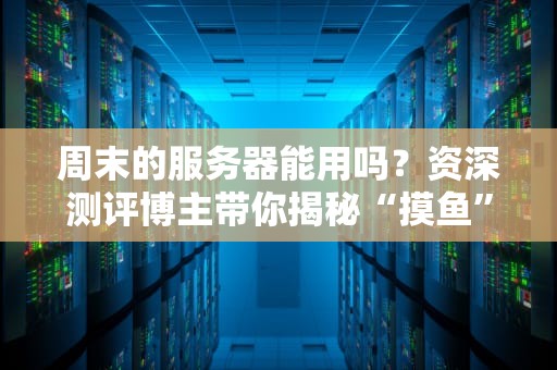 周末的服务器能用吗？资深测评博主带你揭秘“摸鱼”服务器的真相！