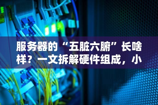 服务器的“五脏六腑”长啥样？一文拆解硬件组成，小白也能秒懂！