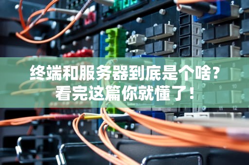 终端和服务器到底是个啥？看完这篇你就懂了！