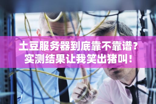 土豆服务器到底靠不靠谱？实测结果让我笑出猪叫！