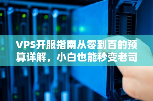 VPS开服指南从零到百的预算详解，小白也能秒变老司机！