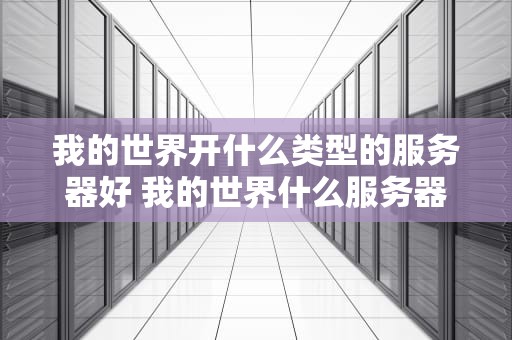 我的世界开什么类型的服务器好 我的世界什么服务器好玩