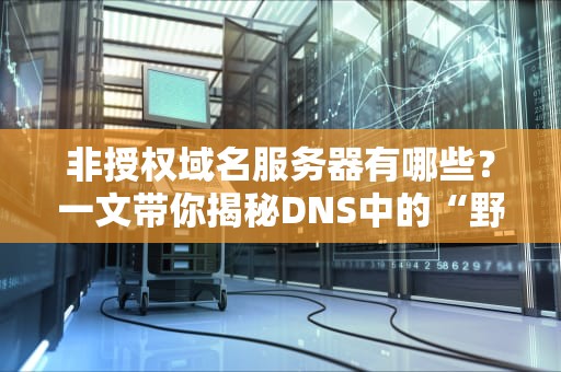 非授权域名服务器有哪些？一文带你揭秘DNS中的“野路子”玩家！