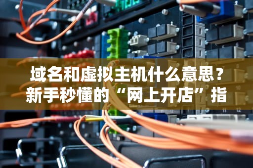 域名和虚拟主机什么意思？新手秒懂的“网上开店”指南！