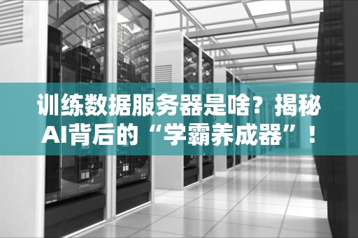 训练数据服务器是啥？揭秘AI背后的“学霸养成器”！