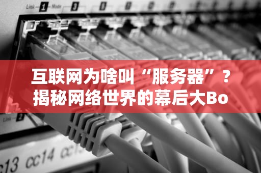 互联网为啥叫“服务器”？揭秘网络世界的幕后大Boss！