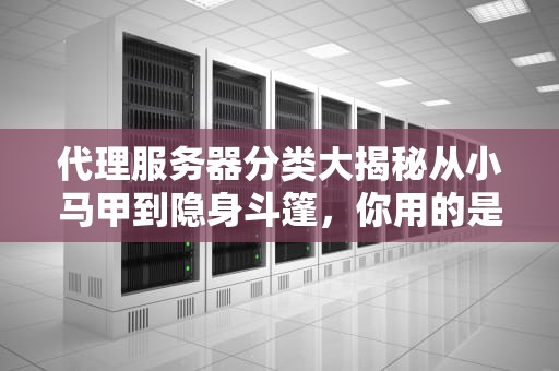 代理服务器分类大揭秘从小马甲到隐身斗篷，你用的是哪一款？
