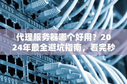 代理服务器哪个好用？2024年最全避坑指南，看完秒变老司机！