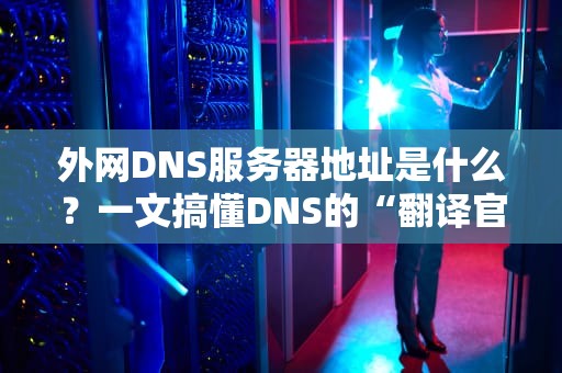 外网DNS服务器地址是什么？一文搞懂DNS的“翻译官”玄学！