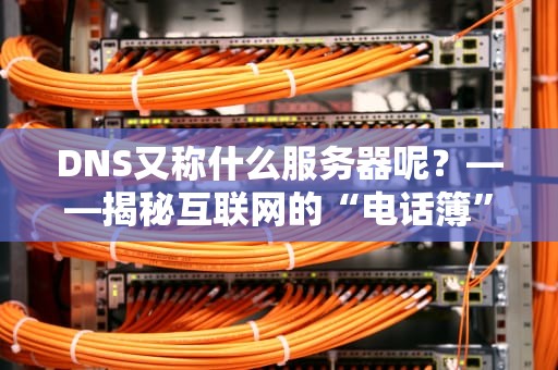 DNS又称什么服务器呢？——揭秘互联网的“电话簿”如何让你秒开网页