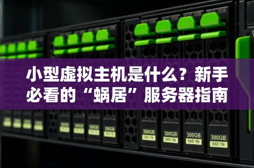 小型虚拟主机是什么？新手必看的“蜗居”服务器指南！