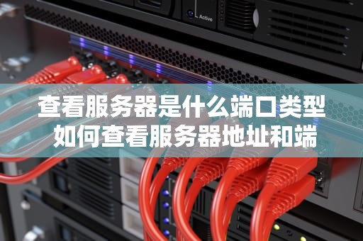 查看服务器是什么端口类型 如何查看服务器地址和端口
