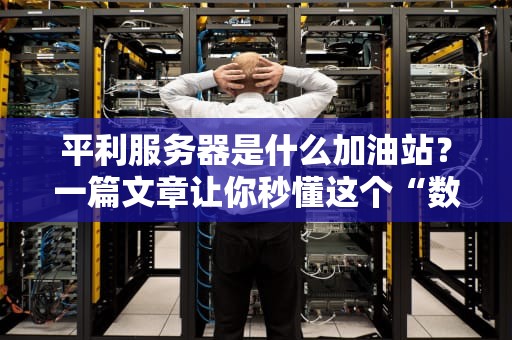 平利服务器是什么加油站？一篇文章让你秒懂这个“数据加油站”的硬核实力！