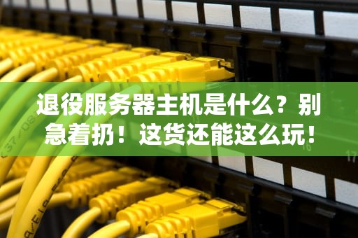 退役服务器主机是什么？别急着扔！这货还能这么玩！
