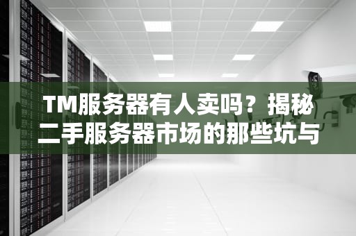 TM服务器有人卖吗？揭秘二手服务器市场的那些坑与香！