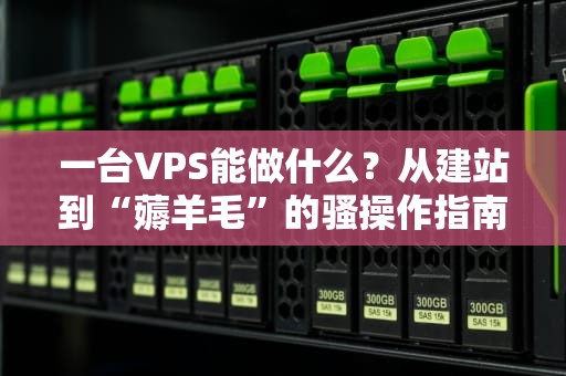 一台VPS能做什么？从建站到“薅羊毛”的骚操作指南！