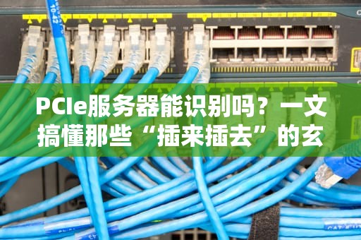 PCIe服务器能识别吗？一文搞懂那些“插来插去”的玄学问题！