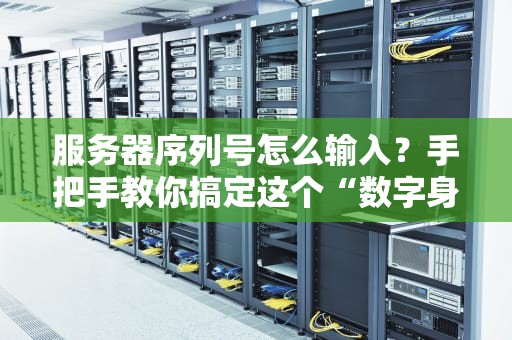 服务器序列号怎么输入？手把手教你搞定这个“数字身份证”！（附常见坑点）