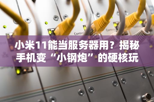 小米11能当服务器用？揭秘手机变“小钢炮”的硬核玩法！