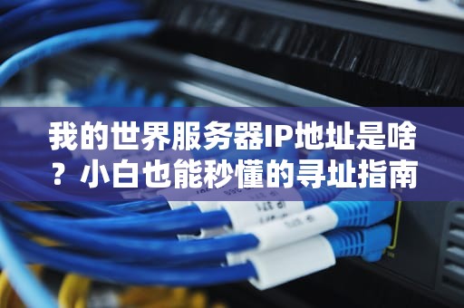 我的世界服务器IP地址是啥？小白也能秒懂的寻址指南