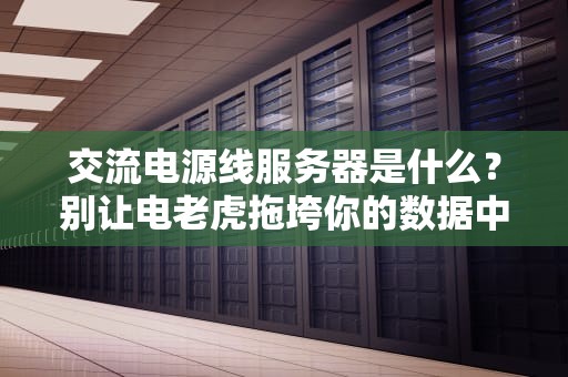 交流电源线服务器是什么？别让电老虎拖垮你的数据中心！