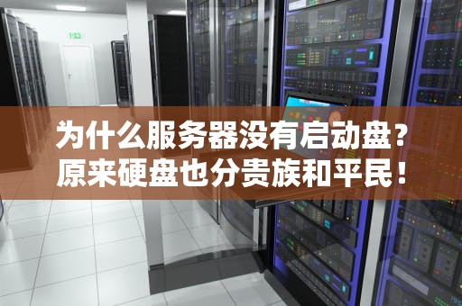 为什么服务器没有启动盘？原来硬盘也分贵族和平民！