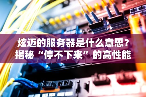 炫迈的服务器是什么意思？揭秘“停不下来”的高性能主机！