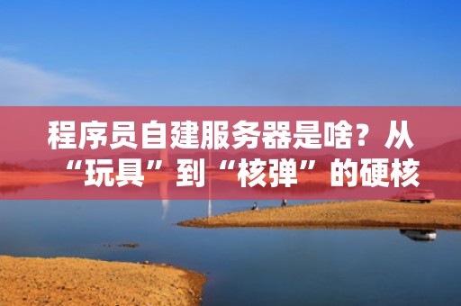 程序员自建服务器是啥？从“玩具”到“核弹”的硬核指南（附避坑大全）