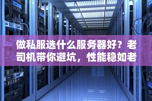做私服选什么服务器好？老司机带你避坑，性能稳如老狗！