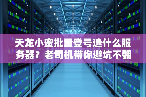 天龙小蜜批量登号选什么服务器？老司机带你避坑不翻车！