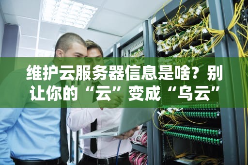 维护云服务器信息是啥？别让你的“云”变成“乌云”！