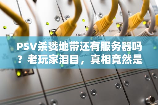 PSV杀戮地带还有服务器吗？老玩家泪目，真相竟然是这样！