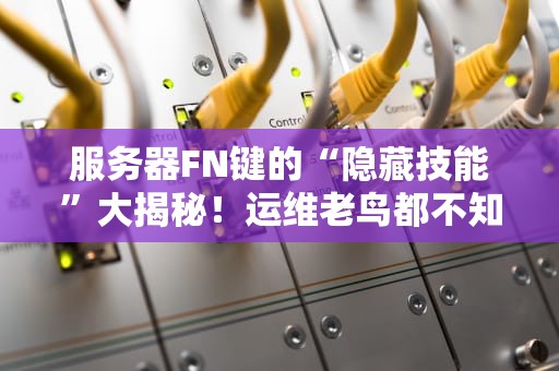 服务器FN键的“隐藏技能”大揭秘！运维老鸟都不知道的冷知识