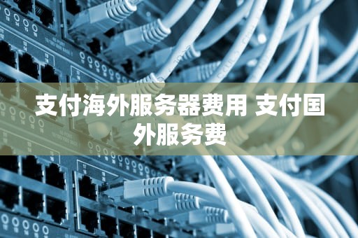 支付海外服务器费用 支付国外服务费