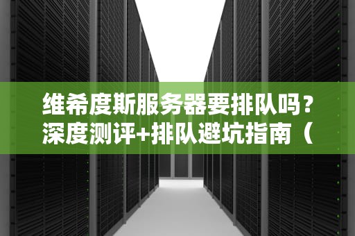 维希度斯服务器要排队吗？深度测评+排队避坑指南（附实测数据）