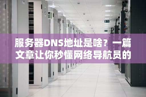 服务器DNS地址是啥？一篇文章让你秒懂网络导航员的日常！