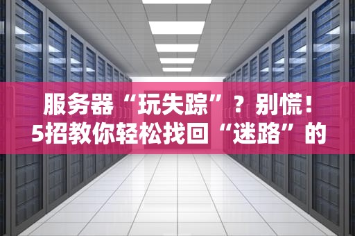 服务器“玩失踪”？别慌！5招教你轻松找回“迷路”的服务器