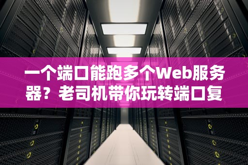 一个端口能跑多个Web服务器？老司机带你玩转端口复用黑科技！