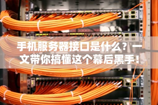 手机服务器接口是什么？一文带你搞懂这个幕后黑手！