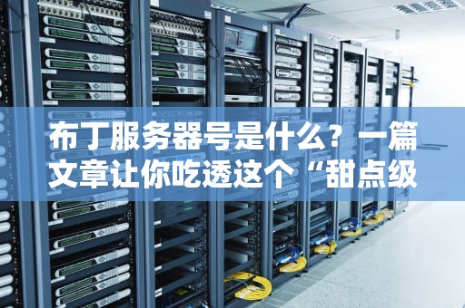 布丁服务器号是什么？一篇文章让你吃透这个“甜点级”服务器！