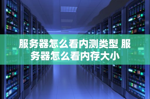 服务器怎么看内测类型 服务器怎么看内存大小