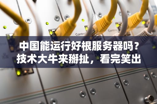 中国能运行好根服务器吗？技术大牛来掰扯，看完笑出腹肌！