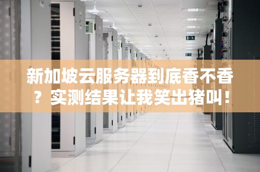 新加坡云服务器到底香不香？实测结果让我笑出猪叫！