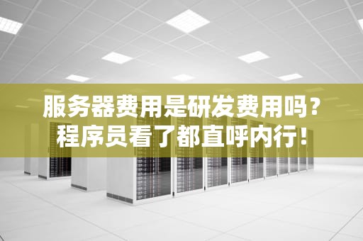 服务器费用是研发费用吗？程序员看了都直呼内行！