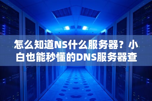 怎么知道NS什么服务器？小白也能秒懂的DNS服务器查询指南！