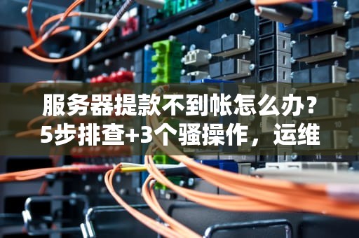 服务器提款不到帐怎么办？5步排查+3个骚操作，运维老鸟都直呼内行！