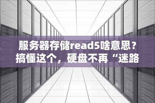服务器存储read5啥意思？搞懂这个，硬盘不再“迷路”！