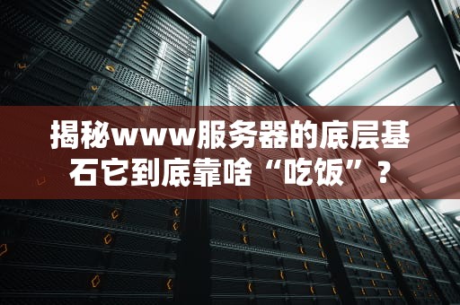 揭秘www服务器的底层基石它到底靠啥“吃饭”？