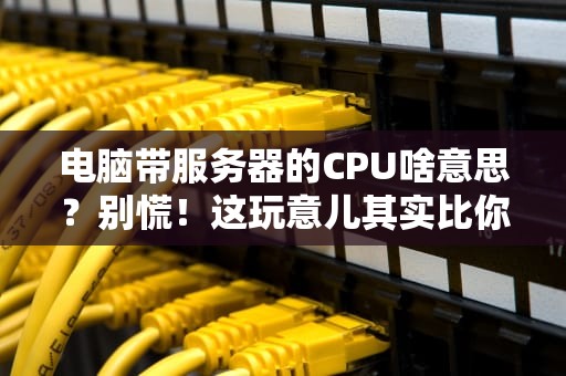 电脑带服务器的CPU啥意思？别慌！这玩意儿其实比你家猫还容易懂！