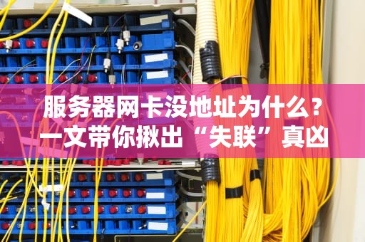 服务器网卡没地址为什么？一文带你揪出“失联”真凶！